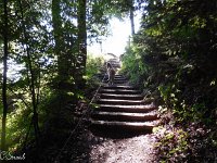 WWW Wanderung Calw-5